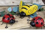 Beebugs