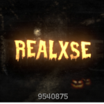 彡Realxse