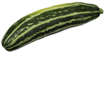 xqrosept