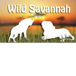 Savannah Lions of Roblox