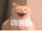猩猩動物園