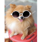 PUPPYS FANS_GROUP