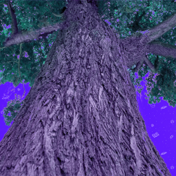 Tree Game