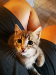 naranky_likecute