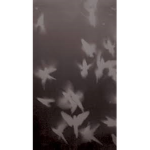 Dannyisthedripidk