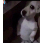 kljjjj