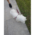 귀멸의 칼날 상황극!!.