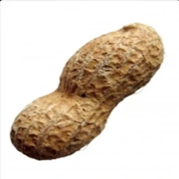 PEANUT icon