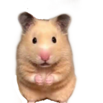 Hamsterfamily!