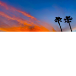 StrykerGaming Fan Group (Copy of flamingo group)