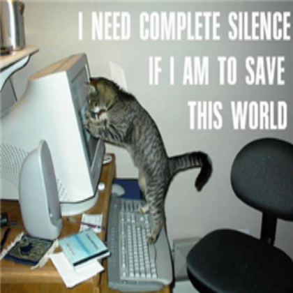 funny cat Roblox decal