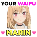 💗 Who is Your Waifu?