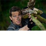 Bear-Grylls-Fan-Club