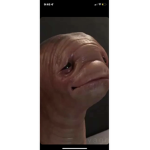 BARRYS THIG