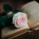 Sounds from the Garden