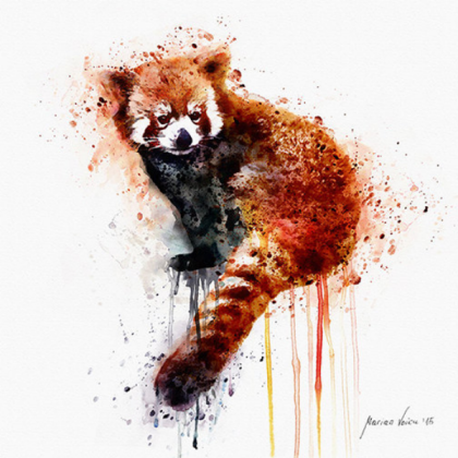 for red panda Roblox decal