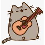#S_kittynation
