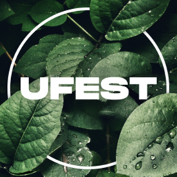 UNDERGROUND FESTIVALS
