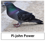 Pi-john power