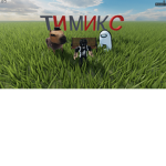 timics