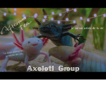 The axolotl group!!!!