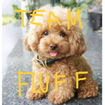 Team Fluffed up