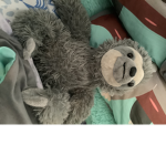 Smart sloth