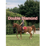 Double Diamond Riding Academy
