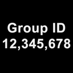 Group ID 12,345,678