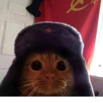 VIIXUEE