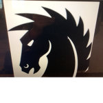 Team Dark horse