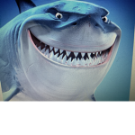 Join the SHARK ARMY