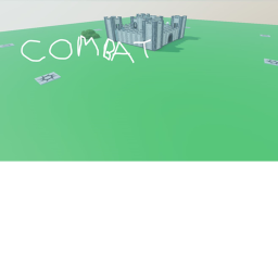Combat