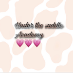 Under the saddle academy