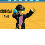 😼Critical Gang😼