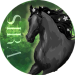 Spirited Ivy Riding Academy
