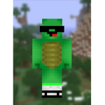 turtle_master