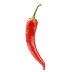 Peppers studios