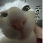 Luhvk1ttyAe