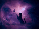 Destiny paws WC-UE