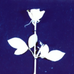 Enjoy the Silence icon