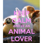 Animal ###### <3 :D
