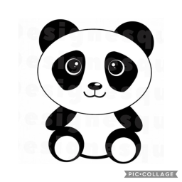 Panda Run