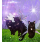 o b s c u r e a e s t h e t i c s