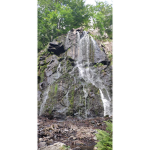 DER HARZ CLAN