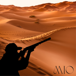 Mio Online Fight: Desert
