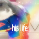 ⭑･ﾟﾟ･*:༅