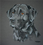Black Lab Lovers