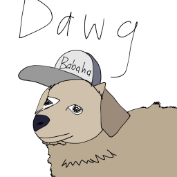 dawg