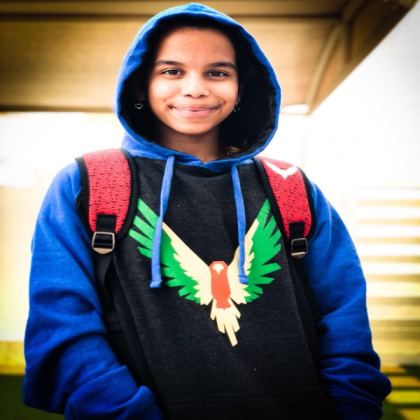 The Favourite Hoodie ( Maverick By Logan Paul.) Roblox decal